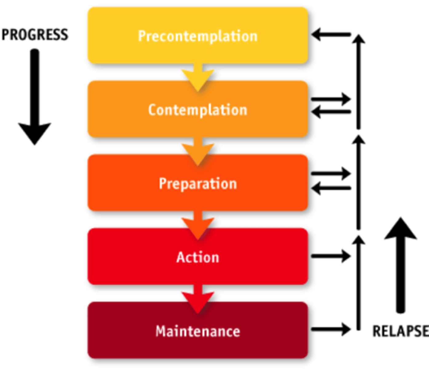 <p>1. Precontemplation</p><p>2. Contemplation</p><p>3. Preparation</p><p>4. Action</p><p>5. Maintenance</p>