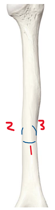 <p>2</p>