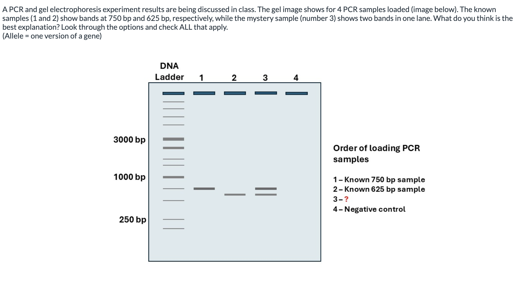 <p><span><span>A. Two different alleles, one with a synonymous SNP compared to the other allele.</span></span></p><p><span><span>B. It has no significance.</span></span></p><p>Incorrect answer:</p><p><span><span>C. Two different alleles, one with an SNP compared to the other allele.</span></span></p><p><span><span>D. A heterozygous allele which appears as two distinct bands</span></span></p>