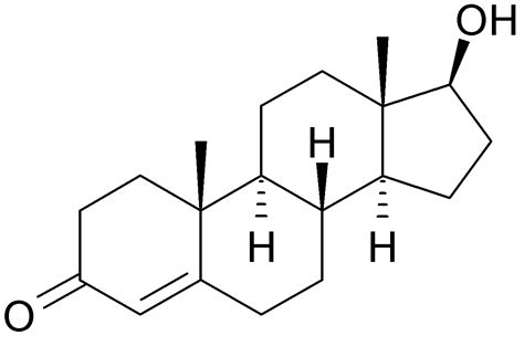 <p>testosterone</p>