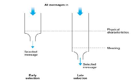 <p>Stimuli are not selected for final processing until after they are analyzed for meaning</p><ol><li><p>Determine the meaning of all presented messages</p></li><li><p>Filter for meaning</p></li></ol><p>We look at all messages, and then we determine meaning and filter out what has no meaning to us</p>