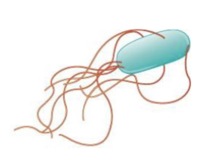 <p>what is this?</p>