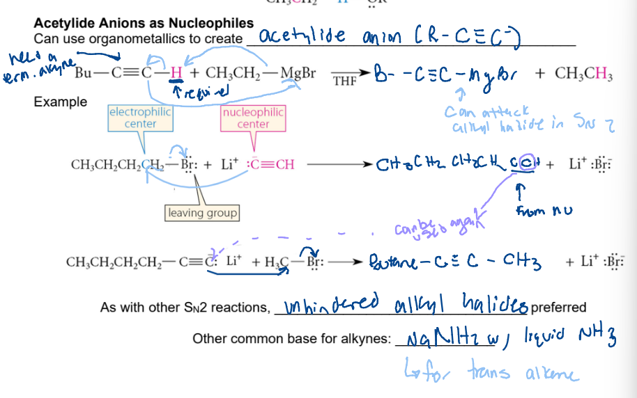 <p>require terminal hydrogen. anion carbon takes H. New negative charge on alkyle carbon can react with an alkyl halide and take that alkyl&nbsp;</p>
