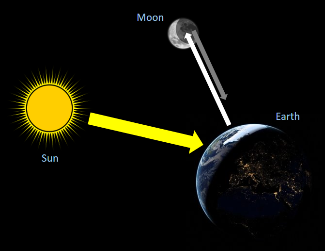 <p>reflect light from the sun</p>