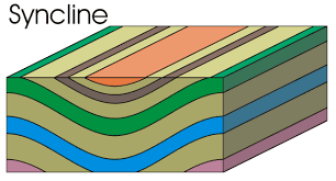 <p>where sediments dip <strong>towards</strong> each other</p>