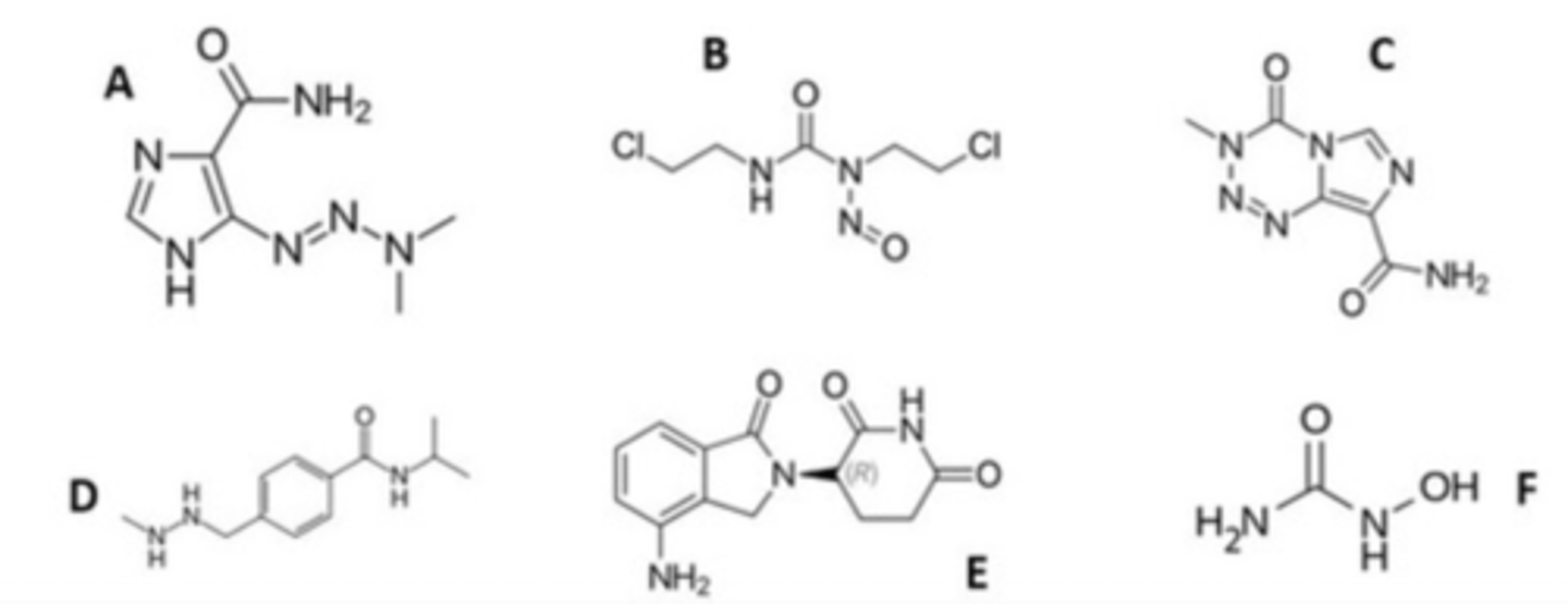 <p>Which agents are DNA methylators?</p>