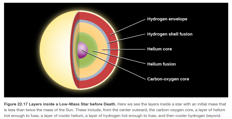 <ul><li><p>star readjusts to the release of energy from the triple-alpha process in its core </p></li><li><p>its surface temperature increase </p></li><li><p>overall luminosity decreases </p></li><li><p>star begins to fuse helium in its core for a while </p><ul><li><p><span>However, at a temperature of 100 million K, the inner core is converting its helium fuel to carbon (and a bit of oxygen) at a rapid rate. Thus, the new period of stability cannot last very long: it is far shorter than the main-sequence stage.</span></p></li><li><p><span>all the helium will be used up, and the star cannot generate energy via fusion </span></p></li></ul></li><li><p>star shrinks </p></li><li><p><span>the star now has a multi-layered structure like an onion: a carbon-oxygen core, surrounded by a shell of helium fusion, a layer of helium, a shell of hydrogen fusion, and finally, the extended outer layers of the star</span></p></li><li><p><span>As energy flows outward from the two fusion shells, once again the outer regions of the star begin to expand. Its brief period of stability is over; the star moves back to the red-giant domain on the H–R diagram for a short time</span></p></li></ul><p></p><p></p>