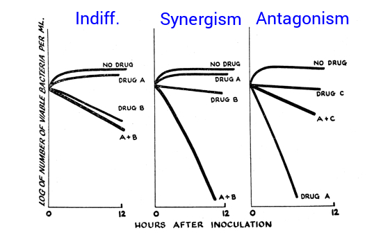<ol><li><p>Indifference: no effect</p></li><li><p>Synergism: combined effect greater than additive of each individually.</p></li><li><p>Antagonism: combined effect worse than additive of each individually. </p></li></ol><p></p>