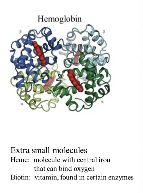 <p>it is 4 different protein structures that bind </p>