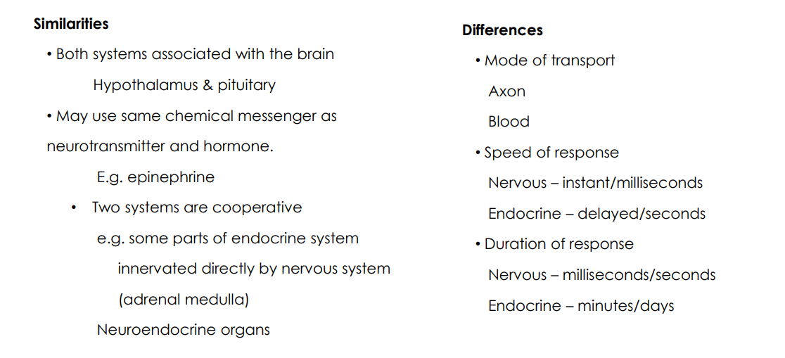 <p>SIMILARITIES:</p><p>- Both systems associated with the brain (hypothalamus and pituitary)</p><p>- may use same chemical messenger as neurotransmitter and hormone. e.g epinephrine</p><p>- two systems are cooperative, e.g some parts of endocrine system innervated directly by nervous system (adrenal medulla). Neuroendocrine organs</p><p>DIFFERENCES:</p><p>- Mode of transport (axon vs blood)</p><p>- Speed of response (nervous: instant/milliseconds, endocrine: delayed/seconds)</p><p>- Duration of response (Nervous: milliseconds/seconds, Endocrine: minutes/days)</p>