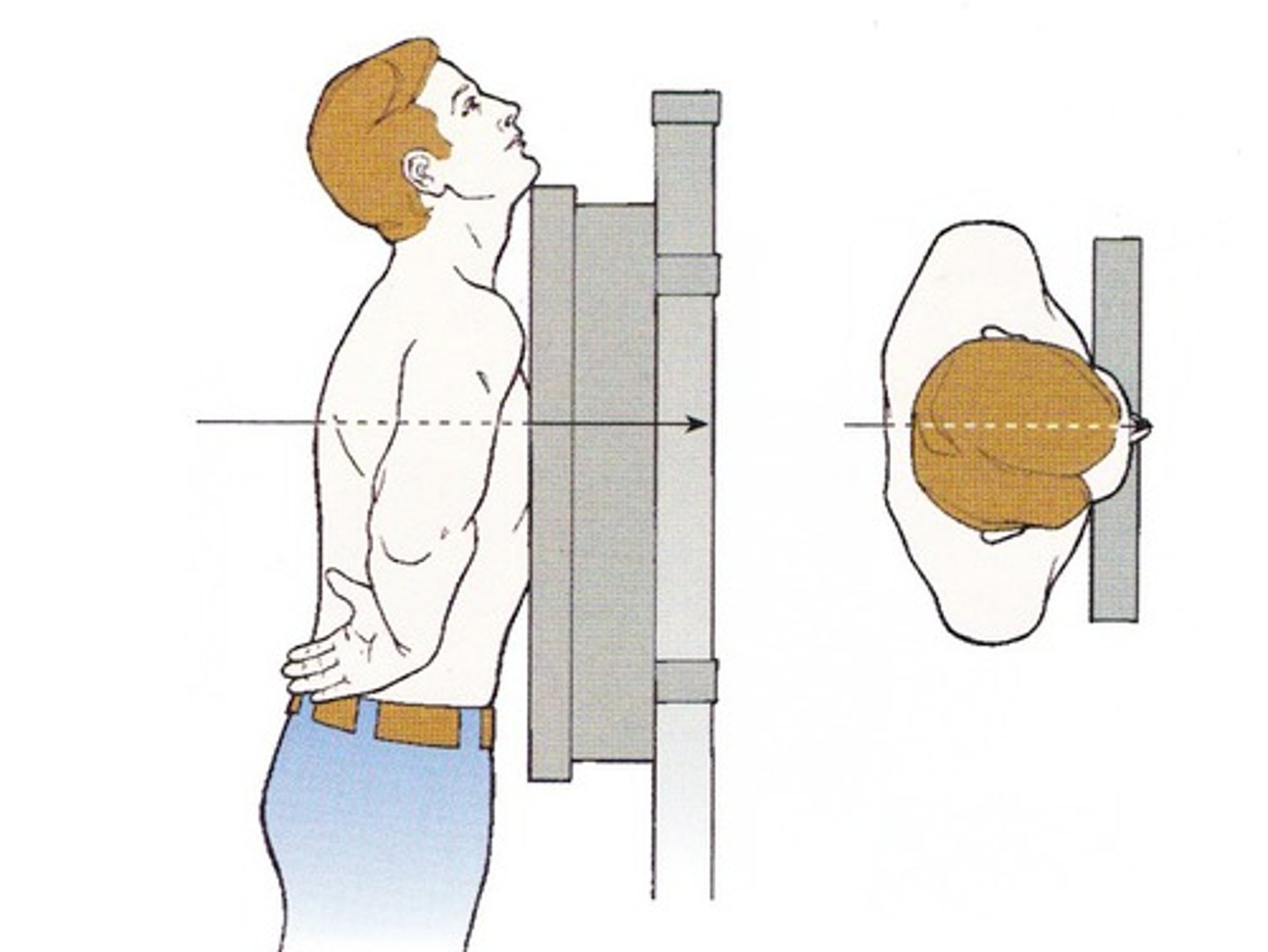 <p>To build or put something up straight and upright.<br><span data-name="repeat" data-type="emoji">🔁</span> <strong>Synonym:</strong> Build</p><p><strong>Example:</strong><br>They erected a statue in the city square.<br>(= They built and placed the statue standing up.)</p><p><span data-name="capital_abcd" data-type="emoji">🔠</span> <strong>Word Family</strong></p><p><strong>Erect</strong> <em>(verb)</em> – To construct or set up<br>The workers erected scaffolding around the building.<br><span data-name="repeat" data-type="emoji">🔁</span> <strong>Synonym:</strong> Assemble</p><p><strong>Erect</strong> <em>(adjective)</em> – Standing straight up<br>The flagpole was erect after being installed.<br><span data-name="repeat" data-type="emoji">🔁</span> <strong>Synonym:</strong> Upright</p><p><strong>Erection</strong> <em>(noun)</em> – The act of building or putting up<br>The erection of the new bridge took two years.<br><span data-name="repeat" data-type="emoji">🔁</span> <strong>Synonym:</strong> Construction</p>