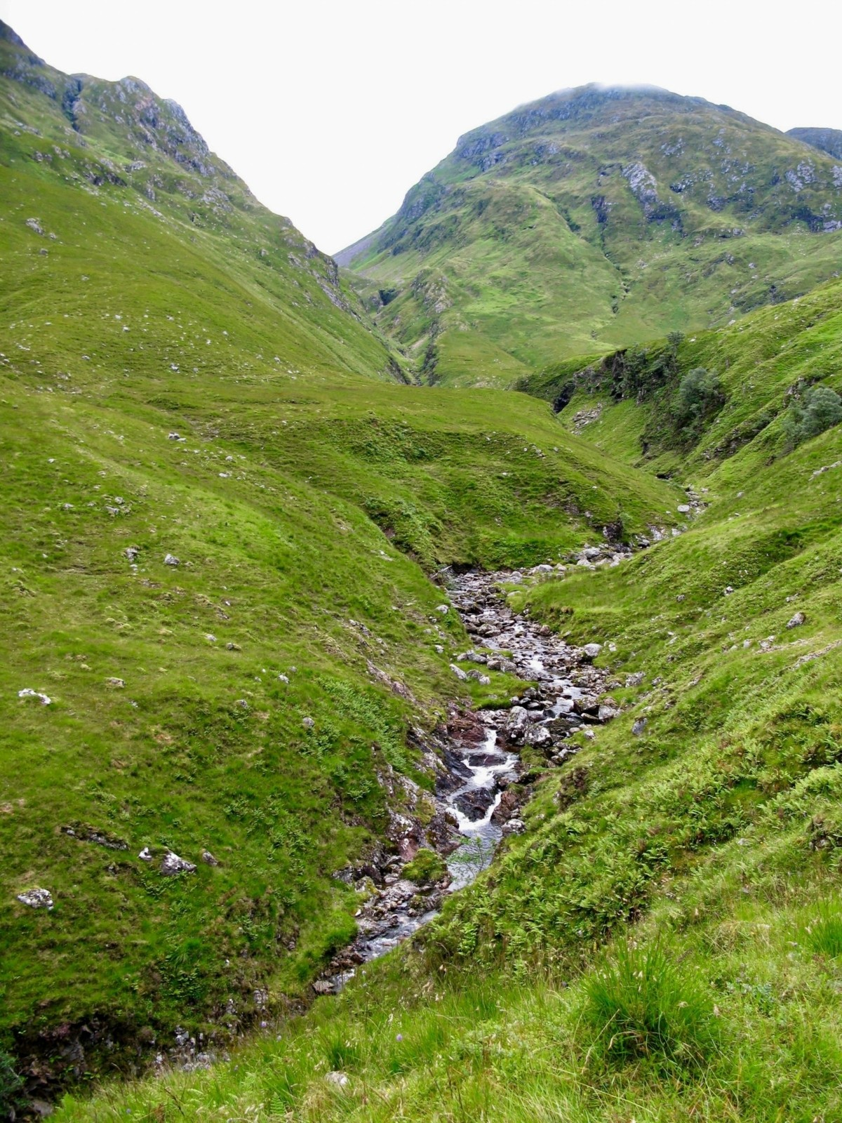 <p>- river is narrow &amp; shallow</p><p>- large &amp; angular load </p><p>- traction is the main transportation type</p><p>- low velocity &amp; discharge</p><p>- steep gradient</p><p>- waterfalls</p><p>- v-shaped valleys</p><p>- gorges</p>