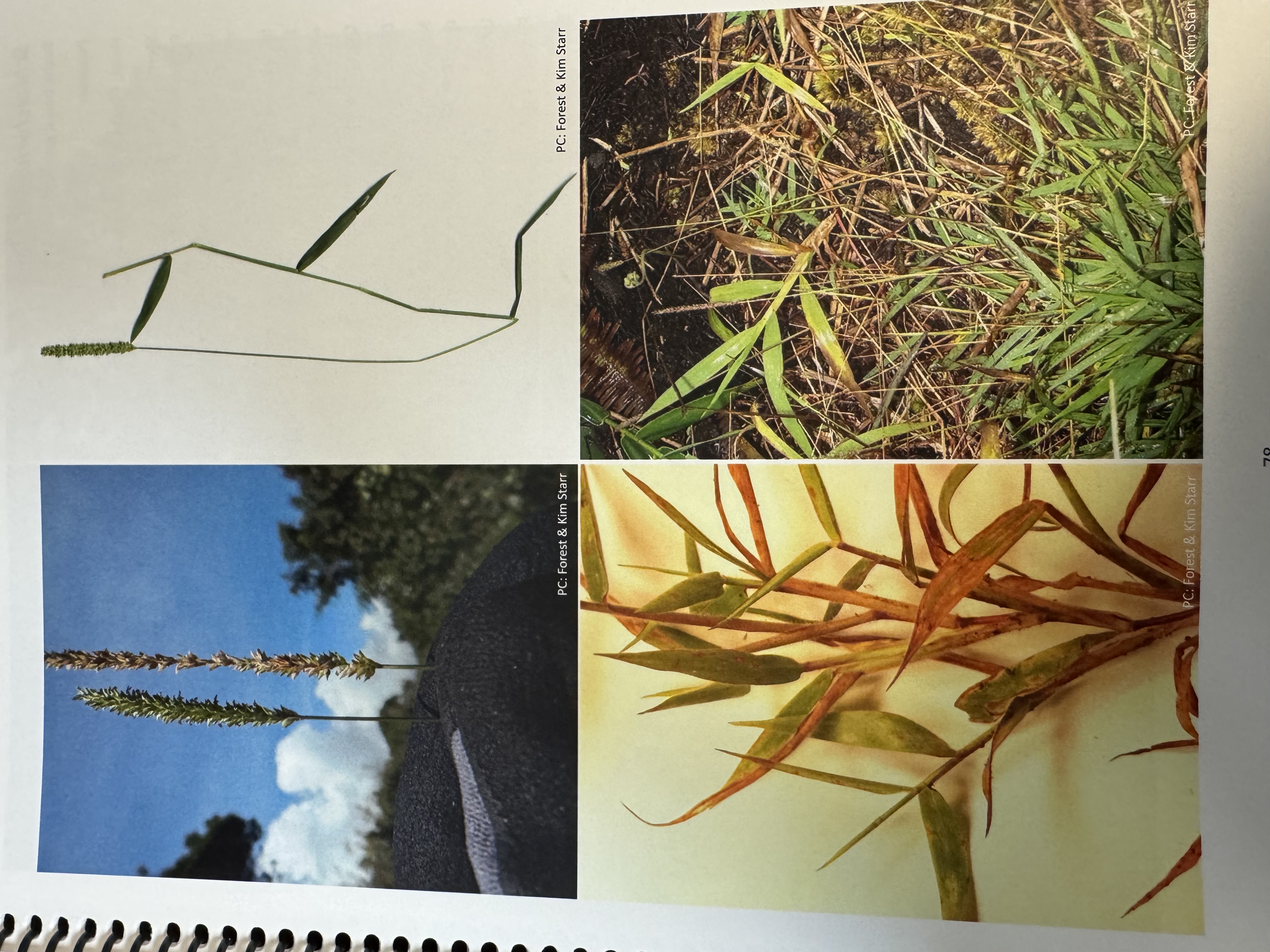 <img src="blob:null/ed4a066c-264f-4be5-b8de-5703da52f0e8"><p></p>