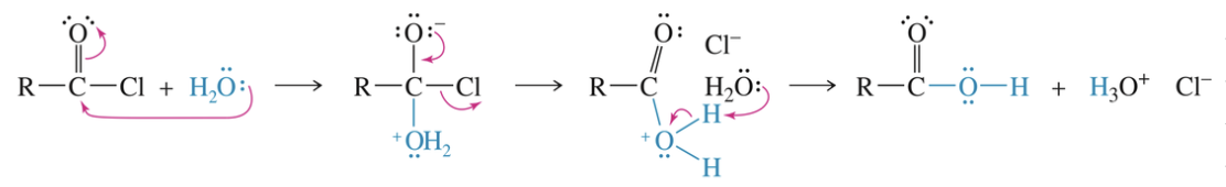 <ul><li><p>Occur quickly even under neutral condition</p></li></ul><p></p>