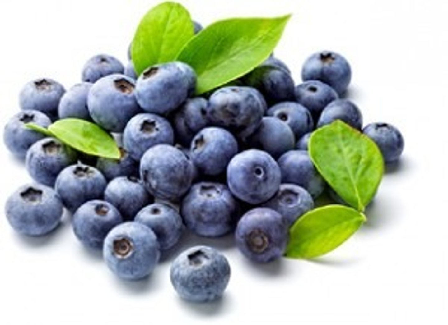<p>blueberry</p>