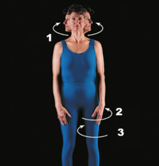 circular movement around an axis such as the shoulder joint