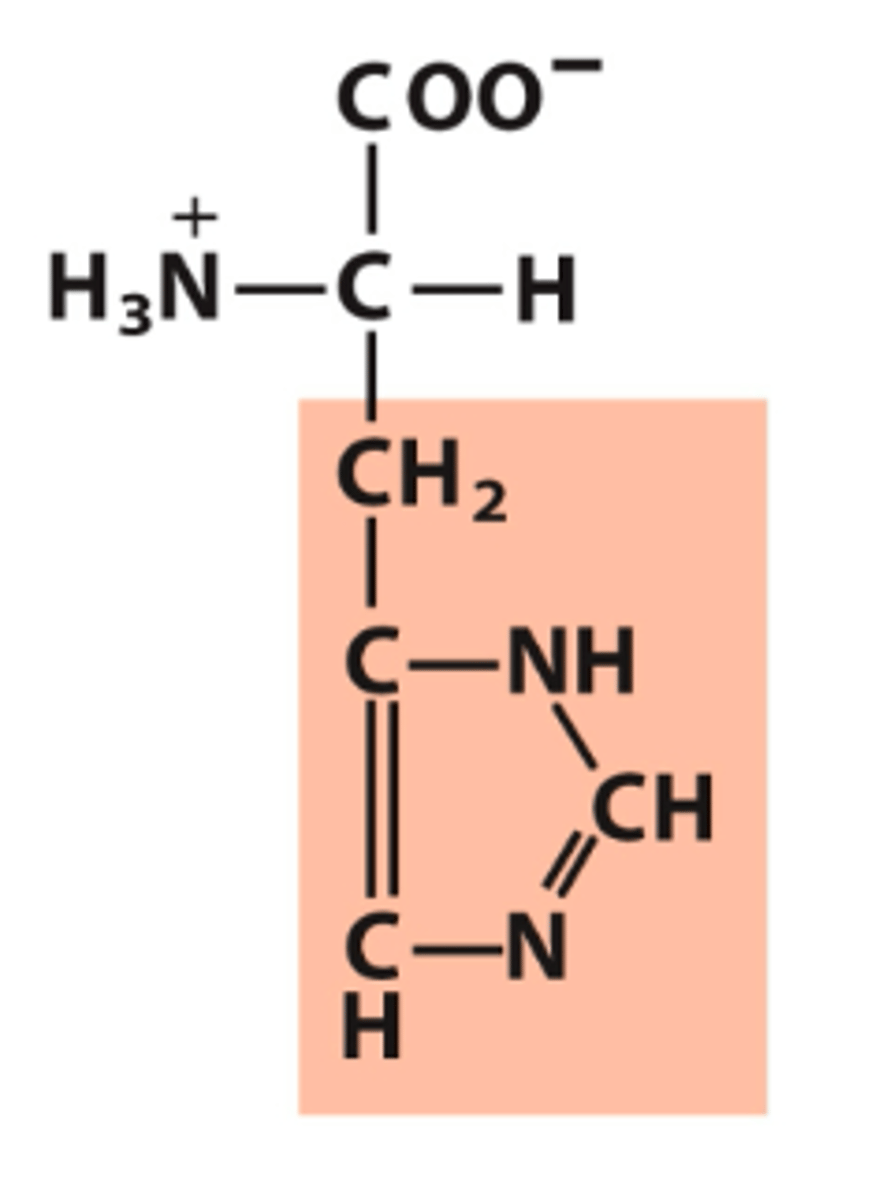 <p>What amino acid is this?</p>