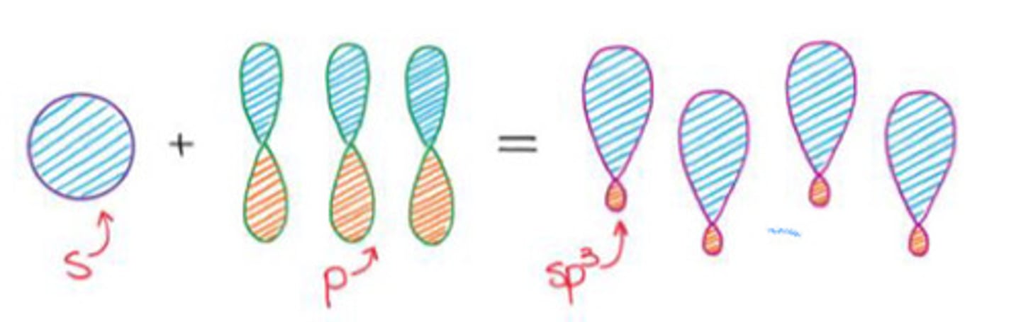 <p>a. sp3 hybridization</p>