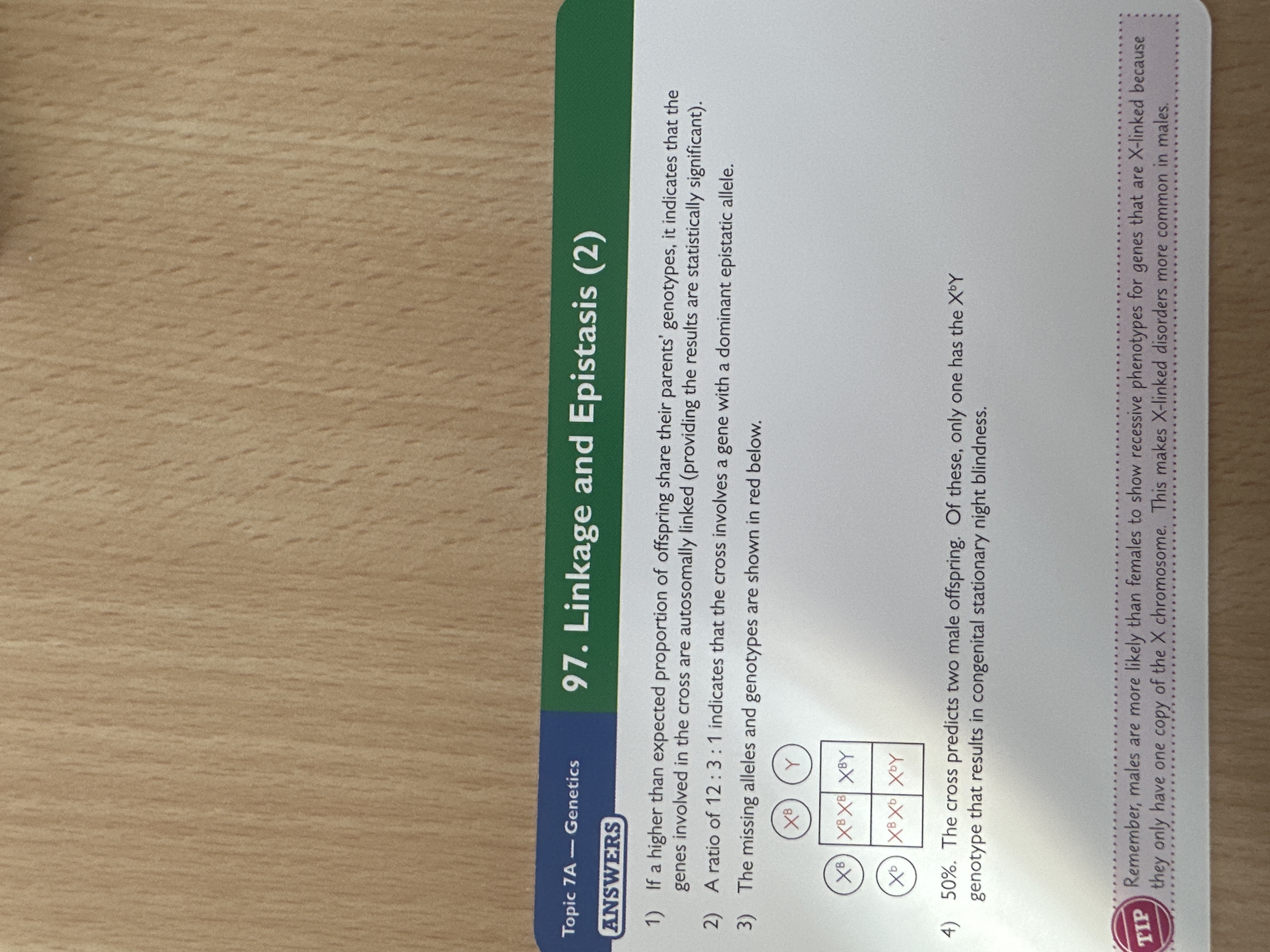 knowt flashcard image