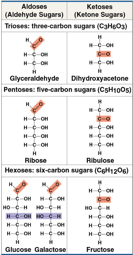 <p>same chemical formula, different structure </p>