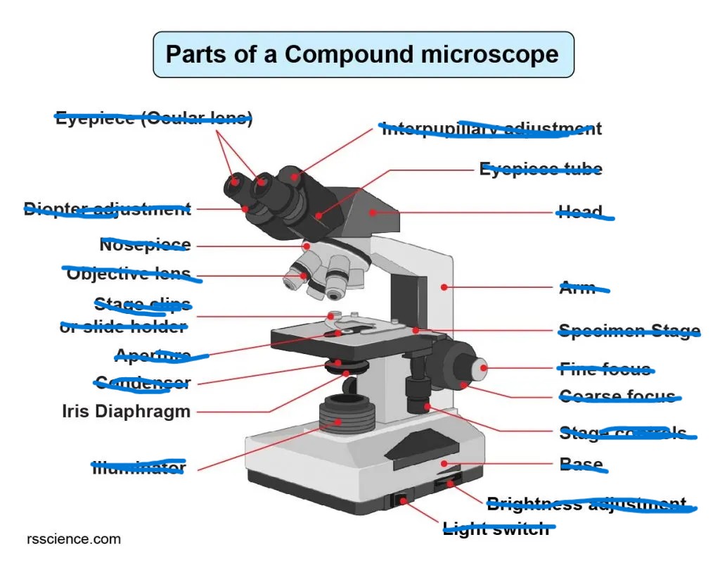 <p>A place where the light increases or decreases</p>