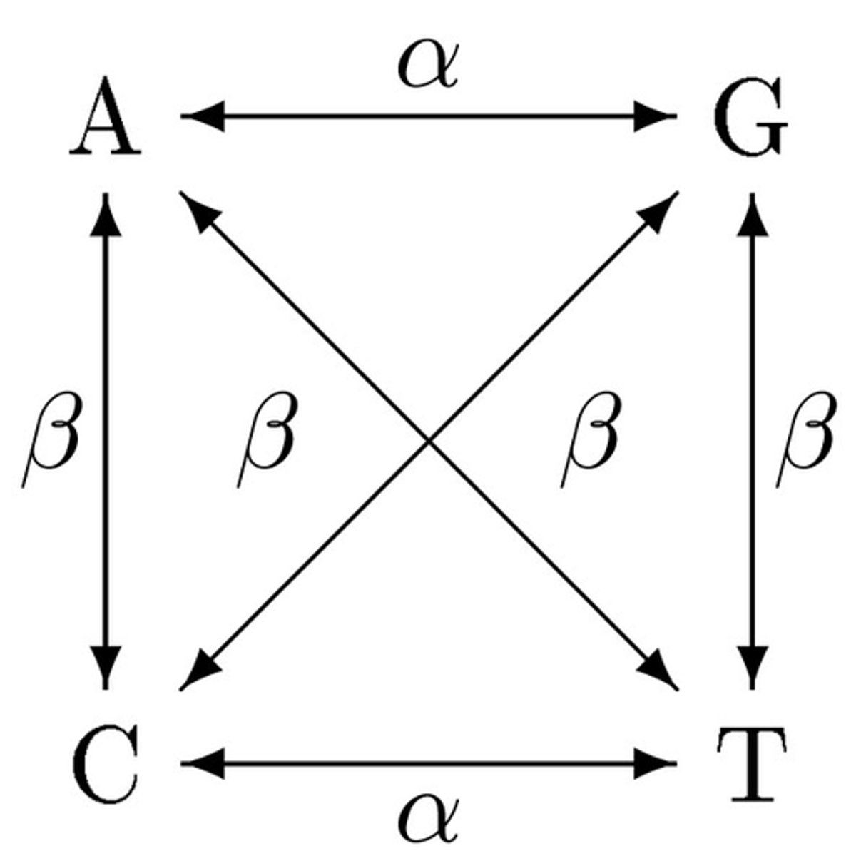 <p>Relaxes assumption of equal mutation rate and its steadiness over time. More likely to see certain mutations.</p><p>• Two types of mutation, each at own rate.</p><p>• Transitions (𝛼): Purine--&gt; Purine, Pyrimidine --&gt; Pyrimidine</p><p>• Transversions (β): Purine --&gt; Pyrimidine or vise versa.</p>