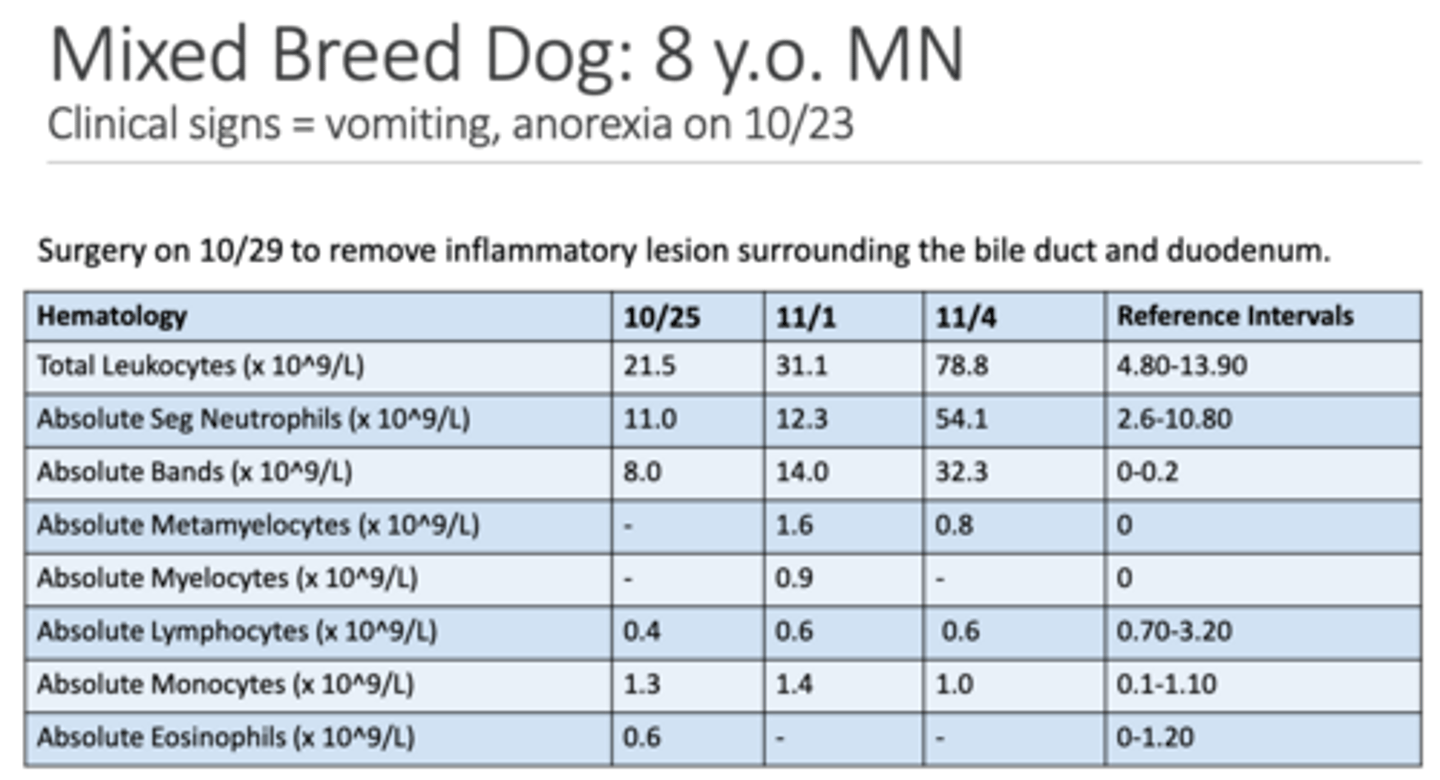 <p>Based on the blood values for 11/1, what is likely going on?</p>