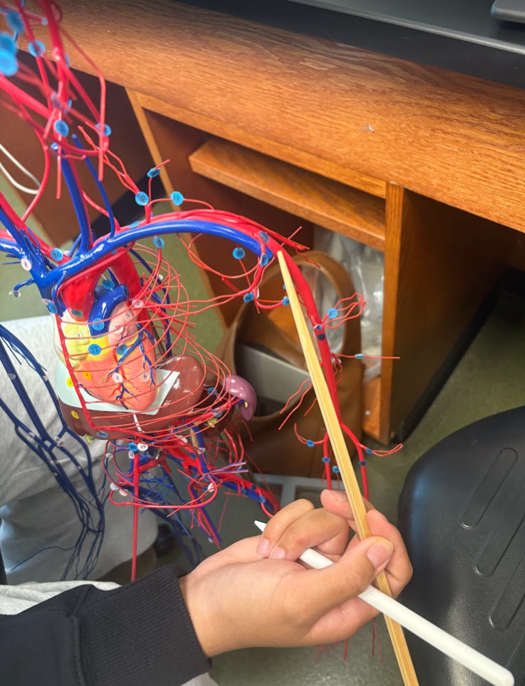 <p>What is this?</p>