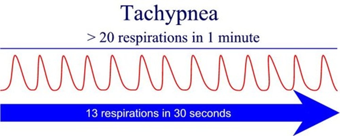 <p>(tack-ip-NEE-uh) an abnormally rapid rate of respiration. (ដកដង្ហើមញាប់)</p>