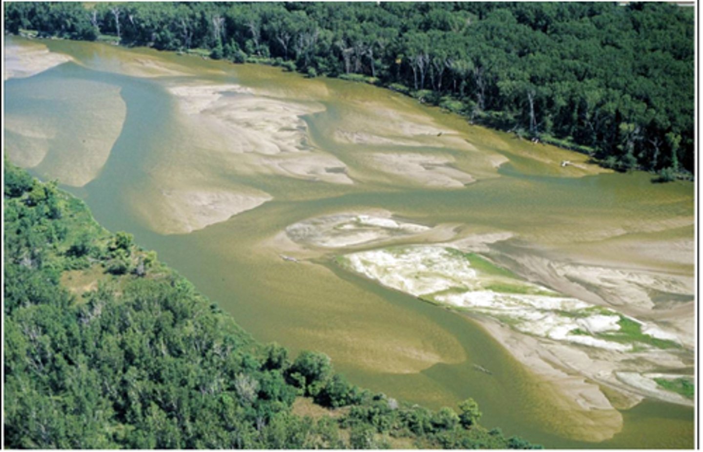 <p>Riffle: rocky areas where water aerates</p><p>Pool: flat area where water collects</p><p>Riparian area: natural vegetation around water bodies that has many ecological benefits</p><p>Meanders: curves in river; path of least resistance</p><p>Rivers: formed by many smaller tributaries</p><p>Headwater: source of river</p><p>Mouth: where it dumps out</p>