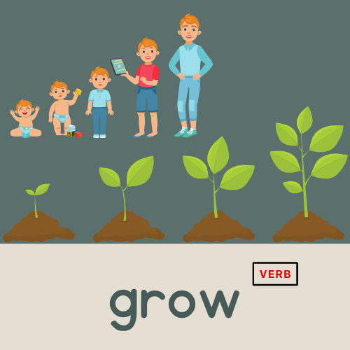 <p>grow</p>