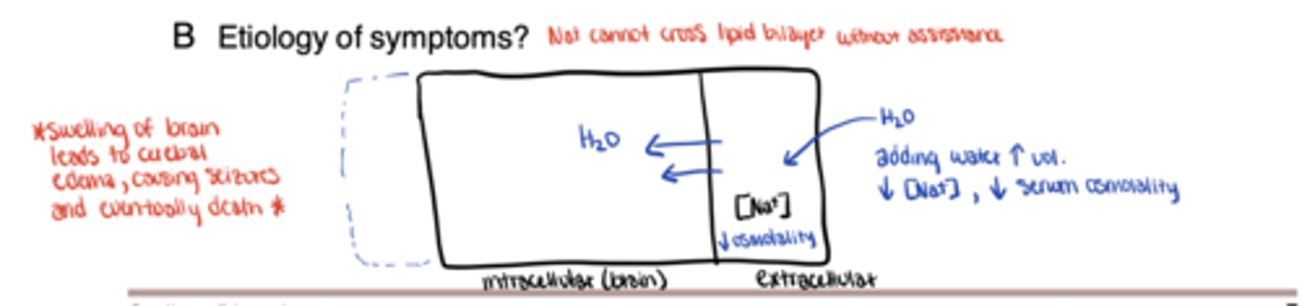 <p>Water shifts → cell swelling → ↑ intracranial pressure → brain edema</p>