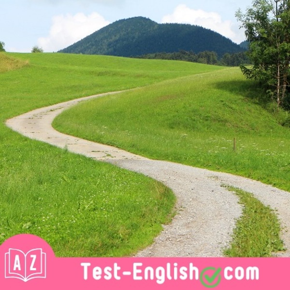 <p>I walked along the _____ until I came to the lake.</p>
