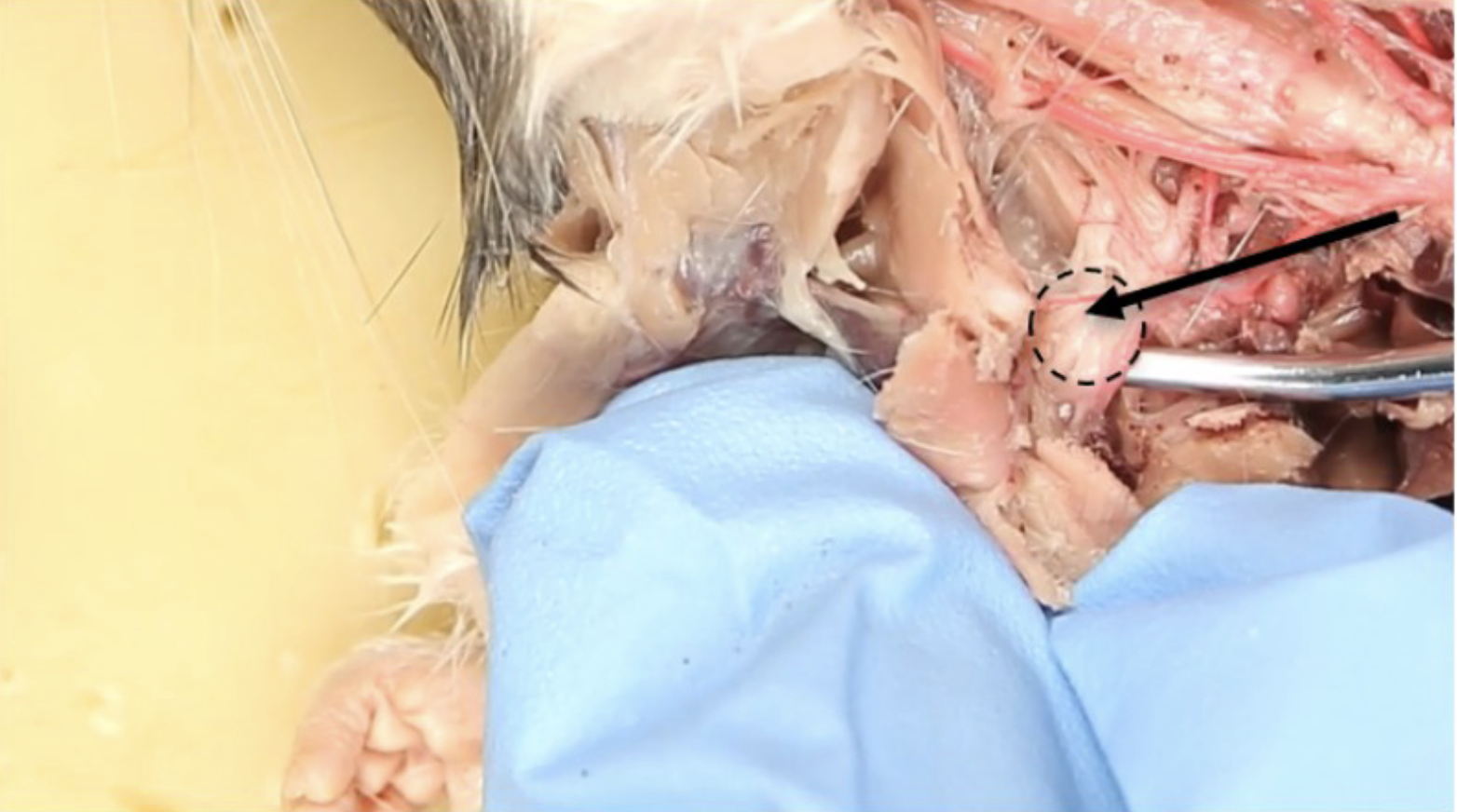 <p>What is this?</p>