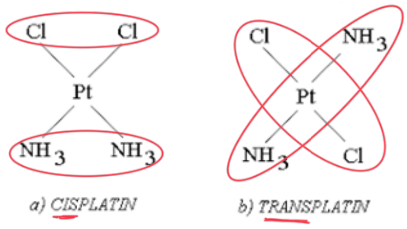 <ul><li><p>Geometric Isomers</p><ul><li><p>cis</p></li><li><p>trans</p></li><li><p>E</p></li><li><p>Z</p></li></ul></li><li><p>Optical Isomers</p><ul><li><p>R</p></li><li><p>S</p></li><li><p>Racemic Mixtures</p></li></ul></li></ul><p></p>