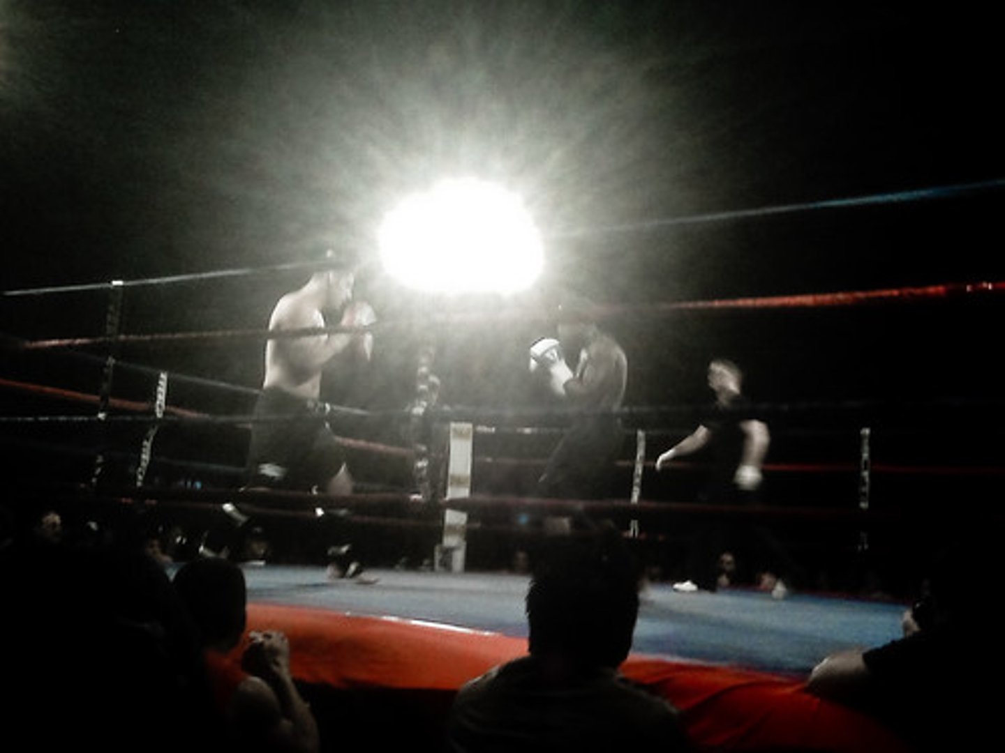 <p>to fight</p>