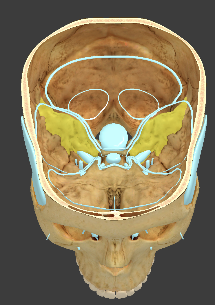 <p>portion of the temporal bone where the inner ear is found</p>