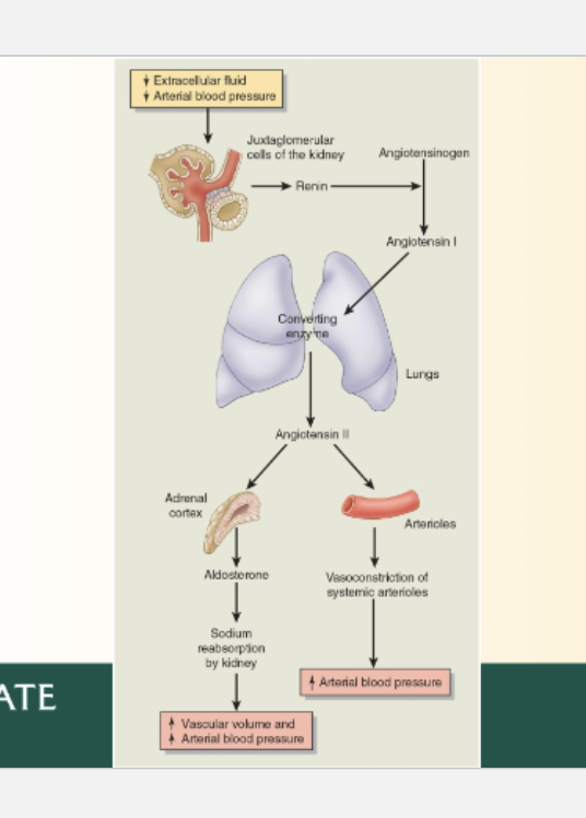 <p>Look at picture and STUDY</p>