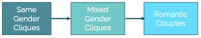 <ul><li><p>same benefits of friendships and social groups</p></li><li><p>sense of belongingness</p></li><li><p>for straight teens, can support/guide interest in romantic relationships</p></li></ul>