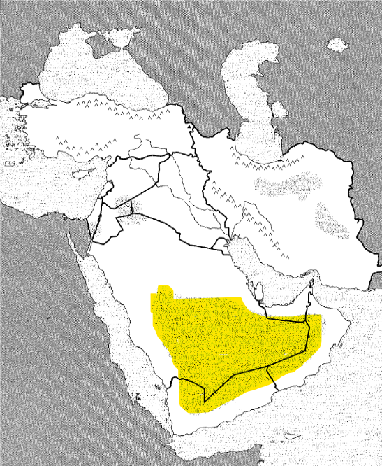<p>Physical</p>