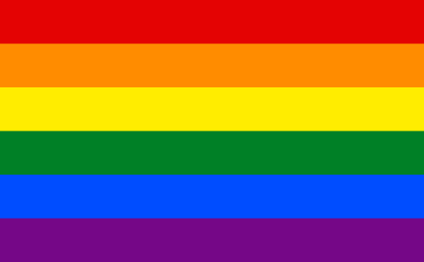 <p>pride flag</p>