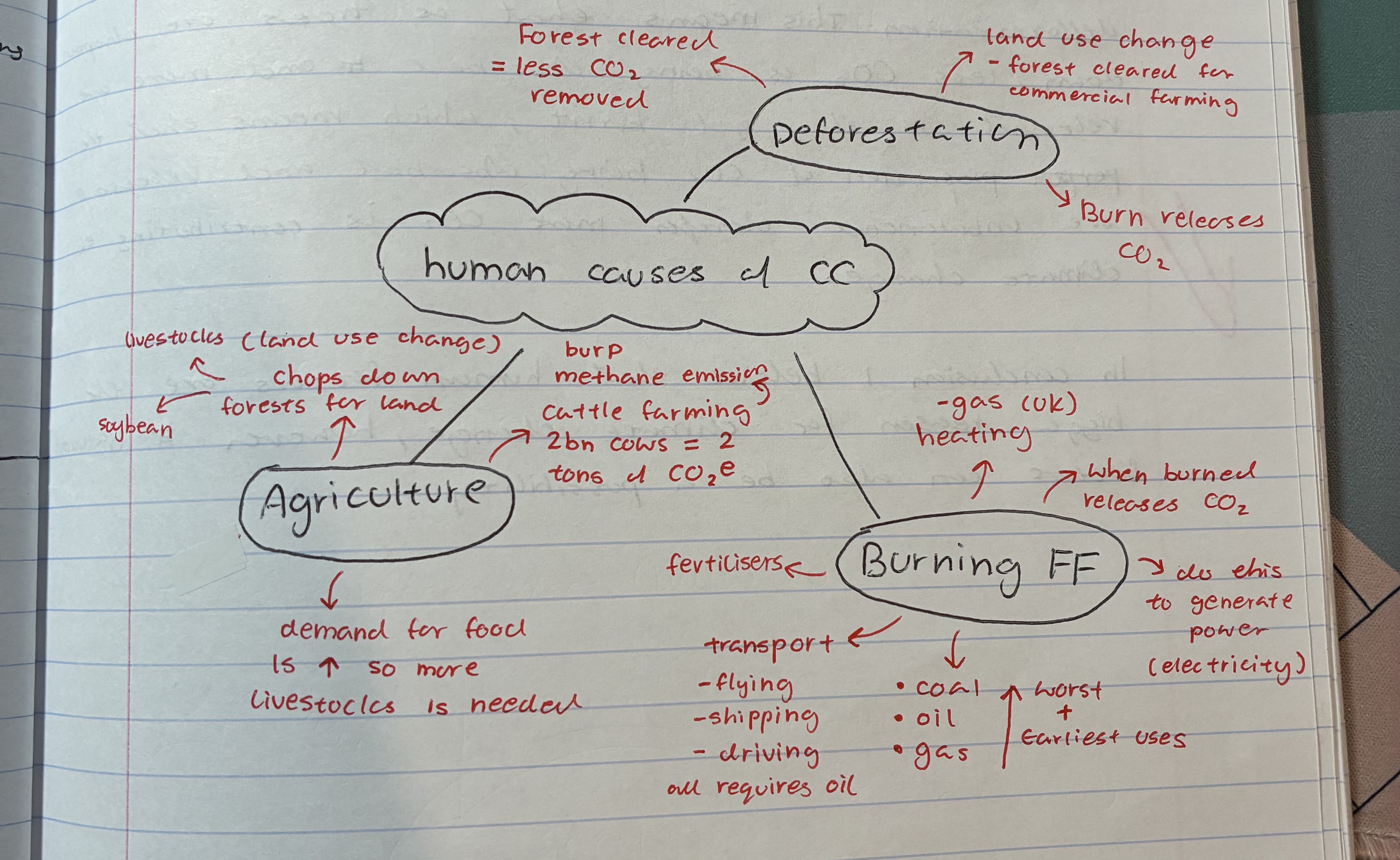 <ul><li><p>deforestation</p></li><li><p>agriculture</p></li><li><p>burning FF</p></li></ul><p></p>