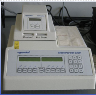 <p><span style="line-height: 20.925px;"><span>PCR can now amplify traces of DNA to identify species in sediments </span></span></p>