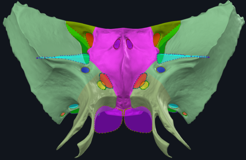 term image