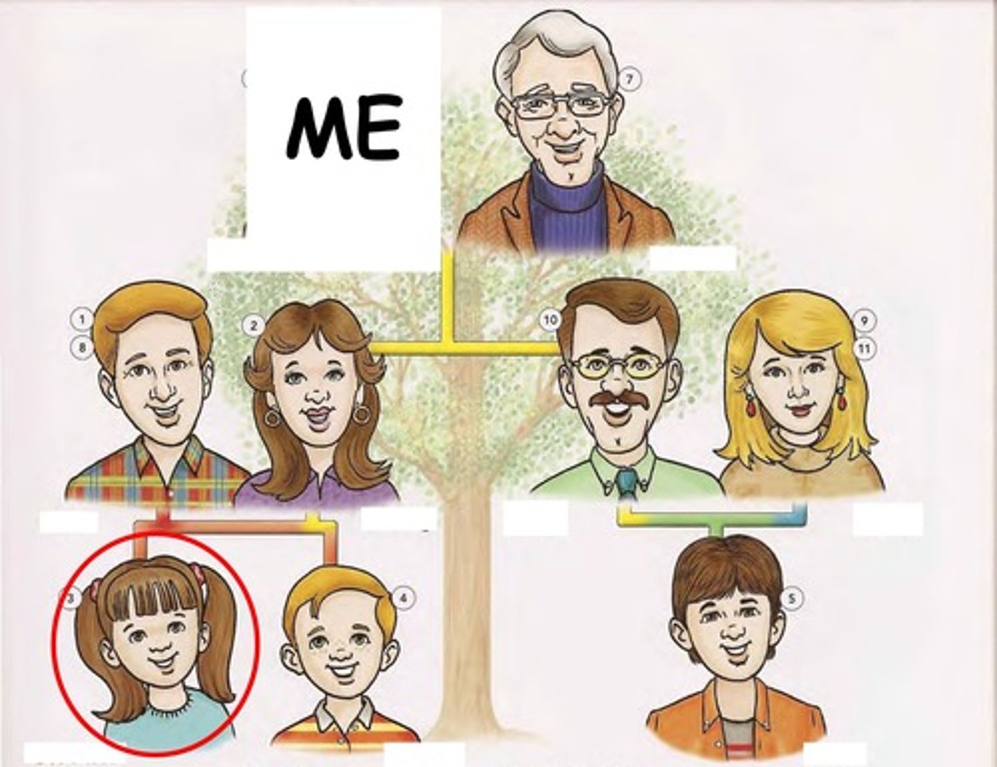 knowt flashcard image