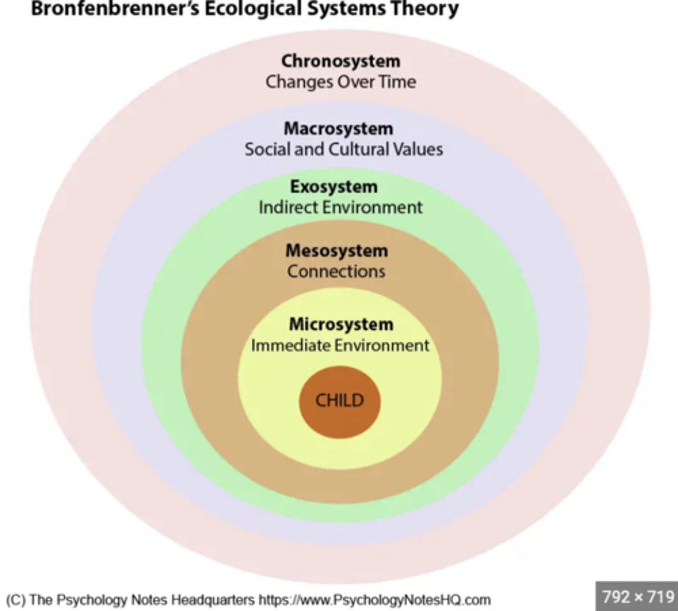 <p>in the bioecological model, the individuals current stage of life.</p>