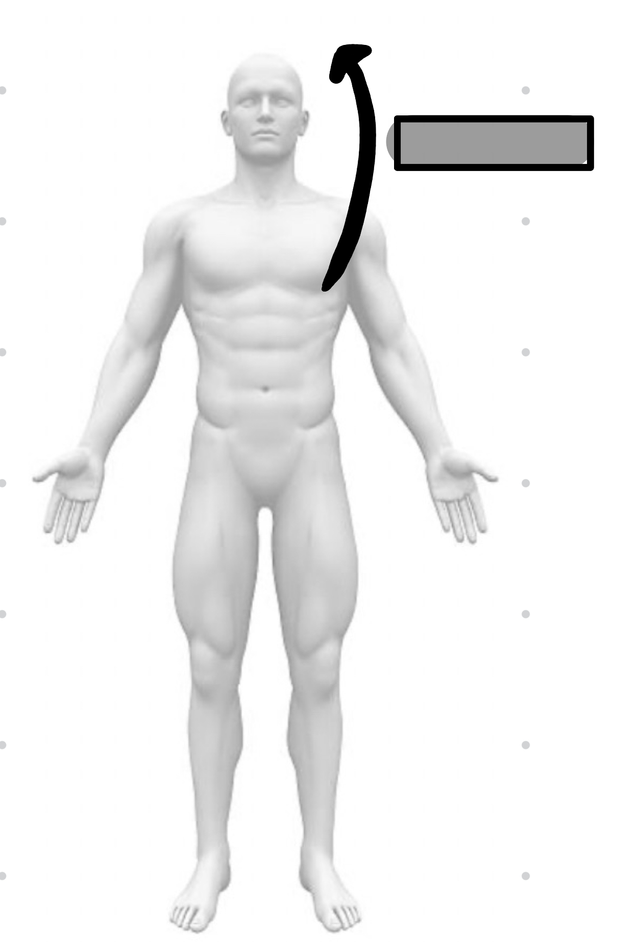<p>closer to head</p>