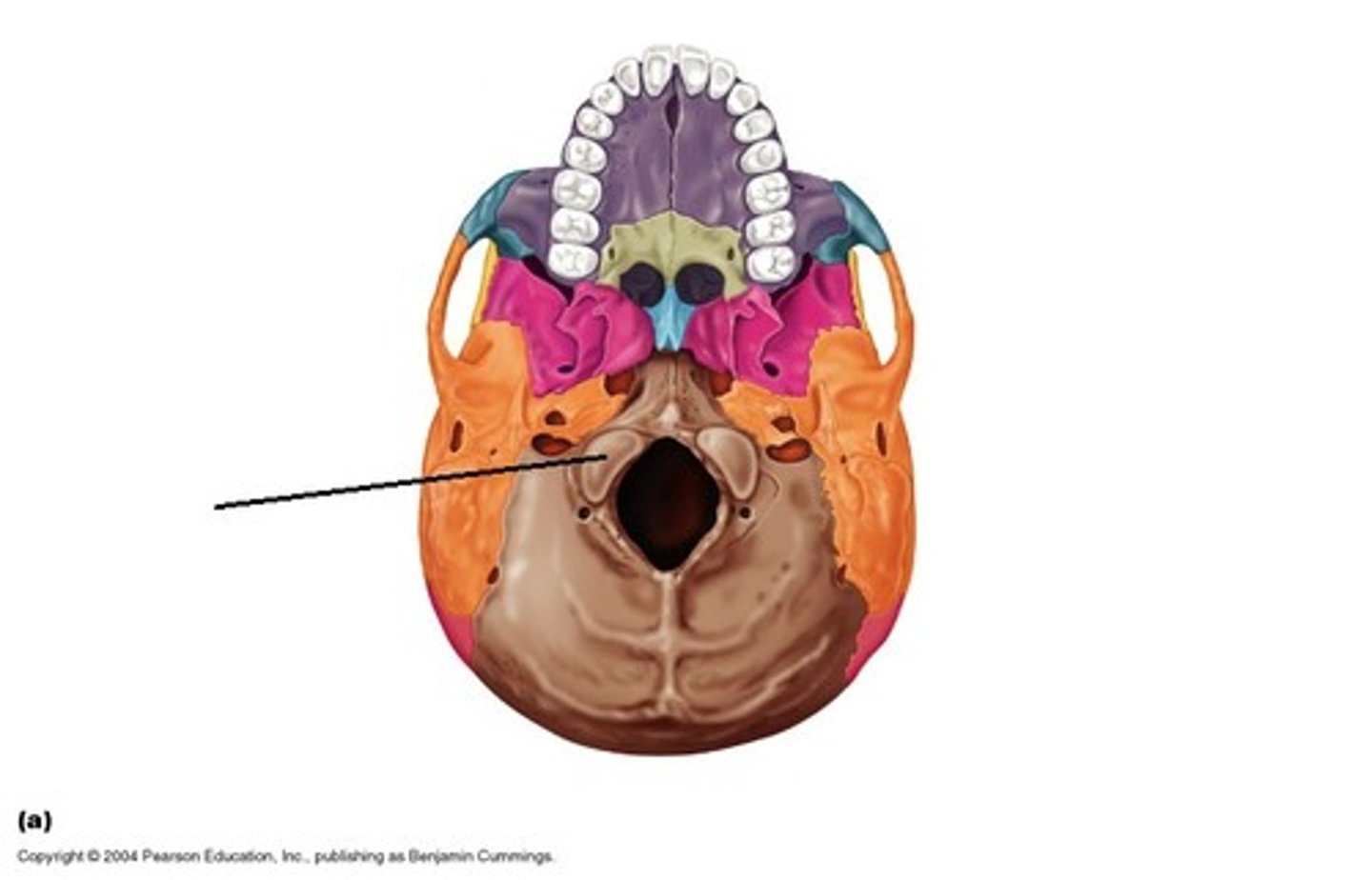knowt flashcard image