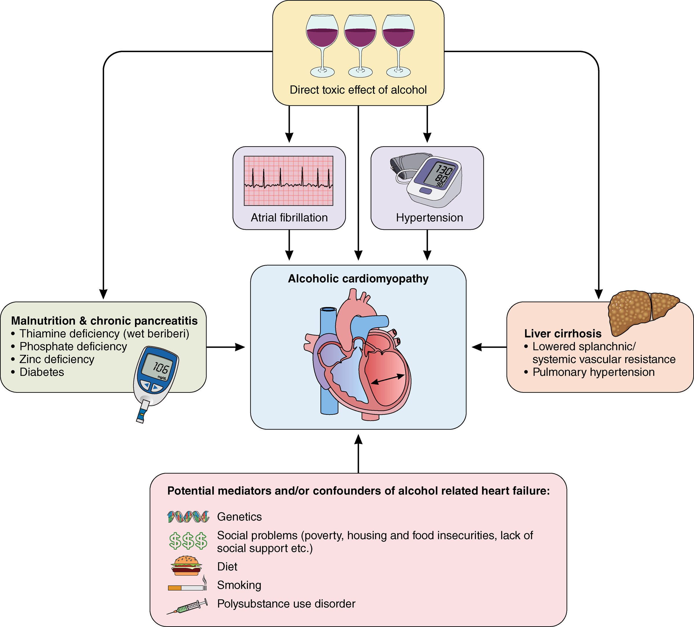 <p>reversible dilated cardiomyopathy </p>