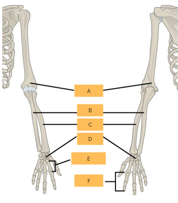 <p>What is B?</p>